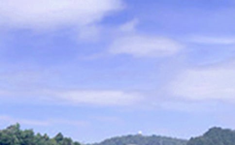 2024��Ψ�����簲�ʺ�����Ż���94��