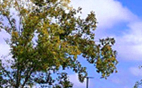 2025��Ψ�����簲QQ�ʺ��Ｏ��64��