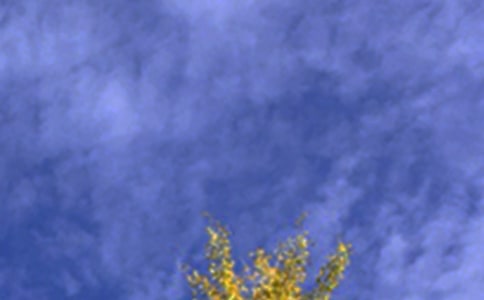 Ψ�����簲QQ�ʺ���40��