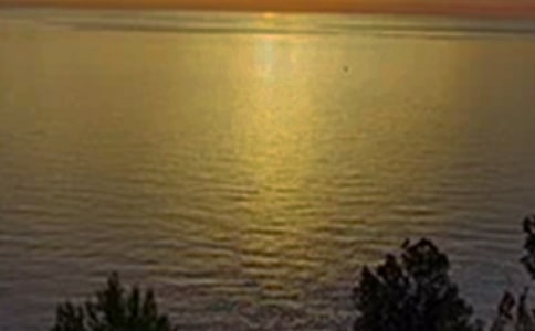 2024����ܰ���簲QQ�ʺ��Ｏ��44��