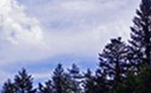 ��ů���簲�ʺ���45��