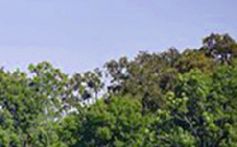 ��ů���簲�ʺ������ժ¼30��