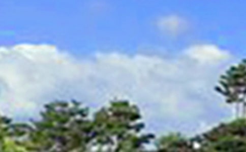 ���õ��簲QQ�ʺ���ժ¼51��