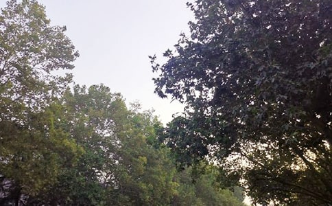 �������簲QQ�ʺ���44��