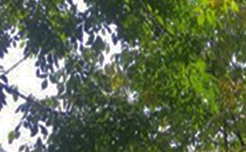 ���õ��簲�ʺ���46��