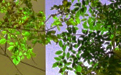 Ψ�����簲�ʺ������38��