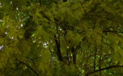 ��ů���簲�ʺ���29��