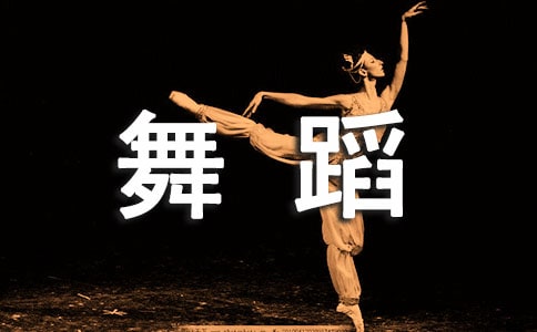 �μ��赸��ѵ���ĵ����