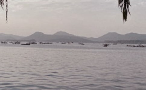 ������ѩ���ĵ���� �������ĵ����ʵ��