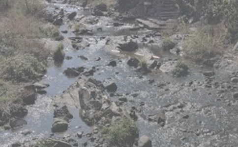 ��СϪ���ĸ衷�����