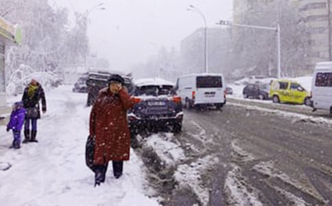 ��ѩ���������ľ��ӣ���ѡ330�䣩