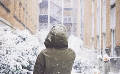 ��ѩΨ����¼���ܣ���ѡ80�䣩