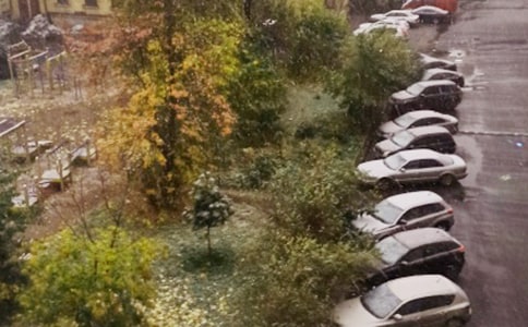 ��ѩ��¼����ѡ50�䣩