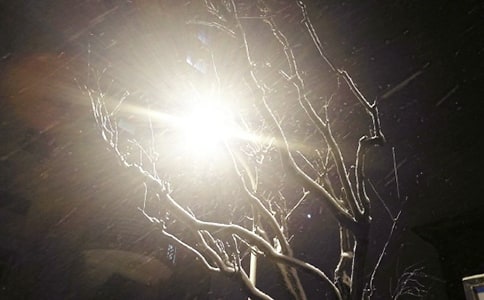 ��ѩ������¼90��