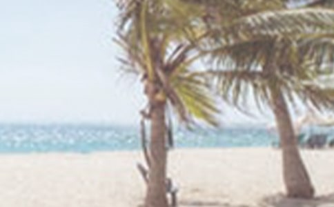 �ļ������ʺ���