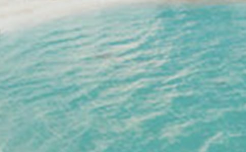 �����ļ�ף����