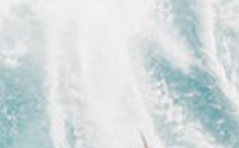 �ļ�ף����