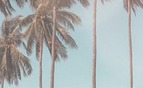 �ļ��ʺ���