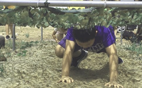 ����Ӫ�ĵ����12ƪ(����)