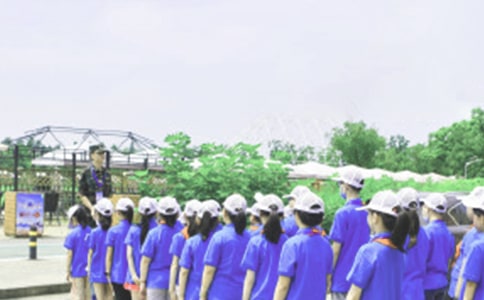 ����Ӫ���ĵ����