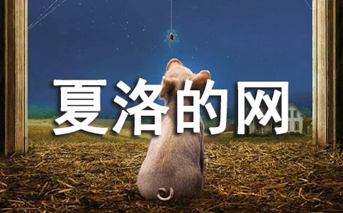 ����������������ĵ�(����5ƪ)