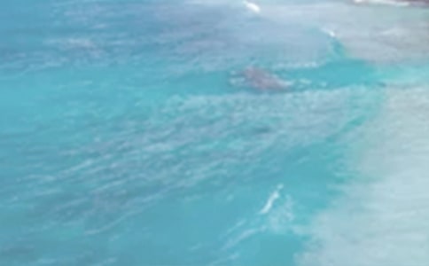 ���յ����뺯���ļ�����ƪ