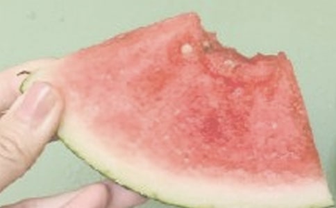 ������������ܽ�