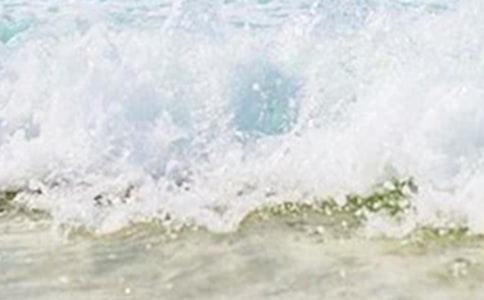 �����ĵ����