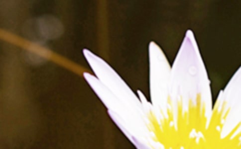 [�Ƽ�]������ף����15ƪ