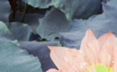 ��ʮ�Ľ�������ף����