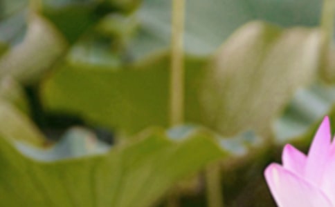 ��������������ף����