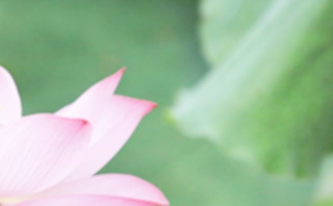 ף�������ֵ�ף����