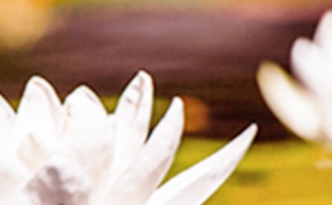 ����ף�����ѡ��