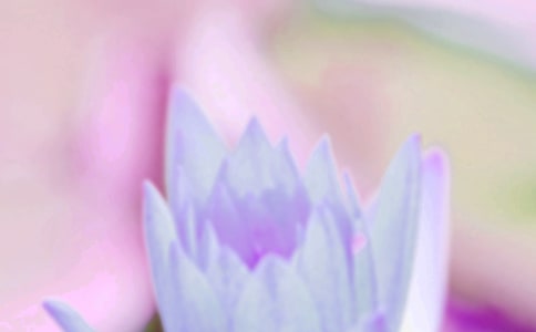 ����ף��������ѡ��15ƪ��