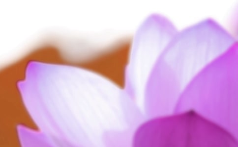 ����ʱ���ʺ���