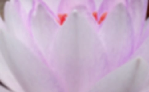 ������������ף�����ѡ10ƪ��