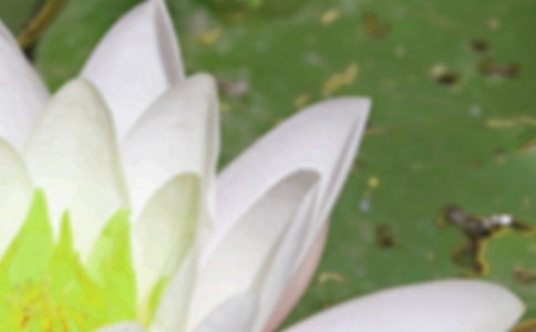 ��������ף�����İ�