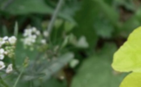 ����ʱ�����ף����