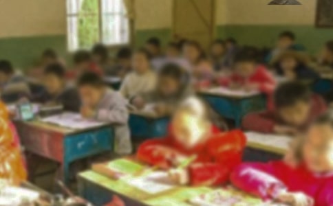 ���Сѧ�����ܽ�