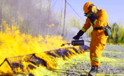 ������ȫ��ŵ�龫ѡ��15ƪ��