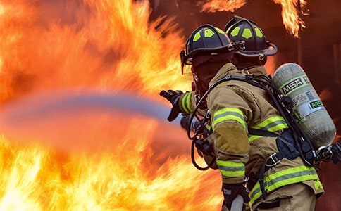 ����Ա�ĵ����