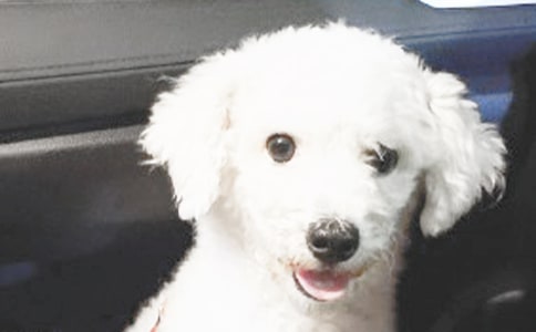 [��ѡ]С��ǮǮ�����