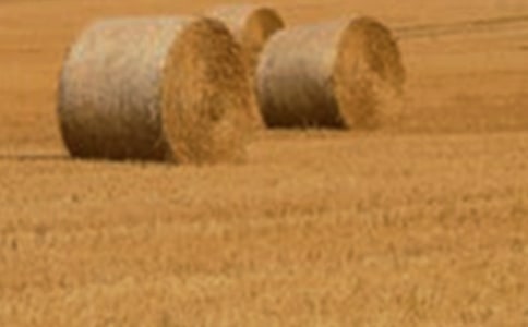 ����С������Э����