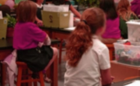 ��Сѧ�������ĵ����2ƪ[��]