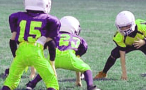 ���꼶Сѧ�����ҽ���12ƪ