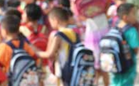 Сѧ����̼����ʵ���ĵ����