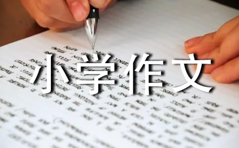 ���ҽ���Сѧ����(ͨ��15ƪ)