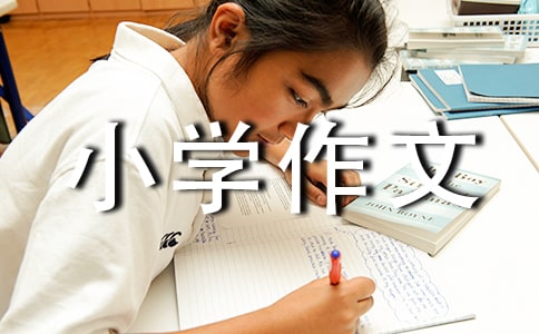 自我介绍小学作文(15篇)
