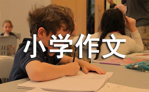 ���ҽ���Сѧ����