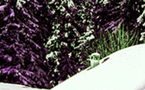 2024��Сѩ�����ʺ��Ｏ��37��